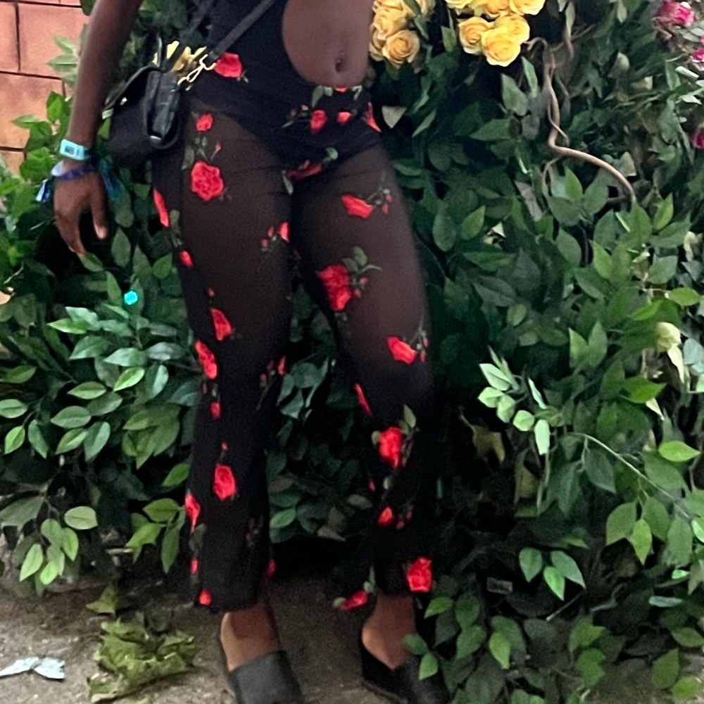 Sheer Nasty Gal Pants